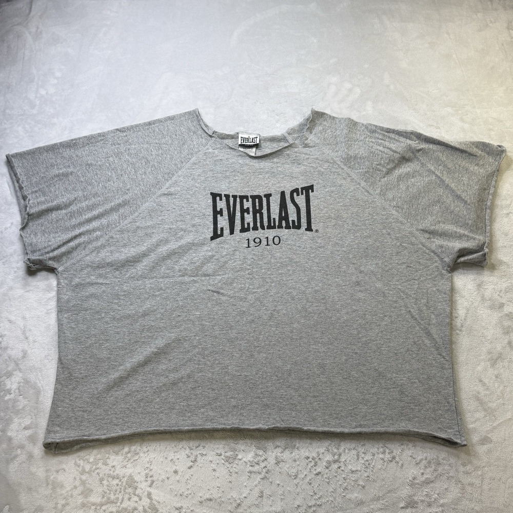 Everlast Y2K Cropped T Shirt Mens XL Gray Logo Boxing Gym Streetwear